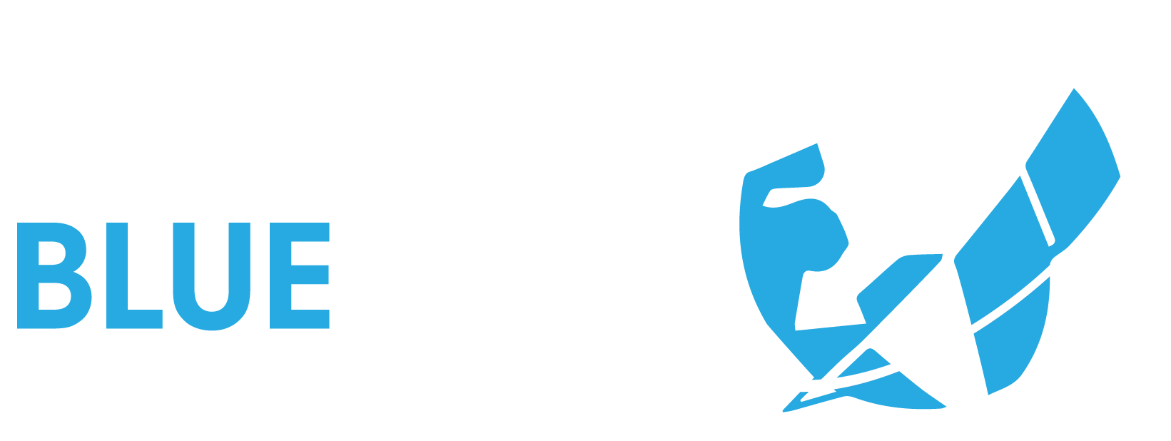 Blue Arc Global Solutions
